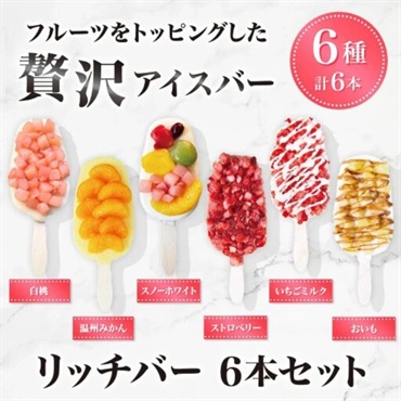 リッチバー 6本セット 冷凍【送料無料※一部地域は除く】