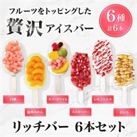 リッチバー 6本セット 冷凍【送料無料※一部地域は除く】